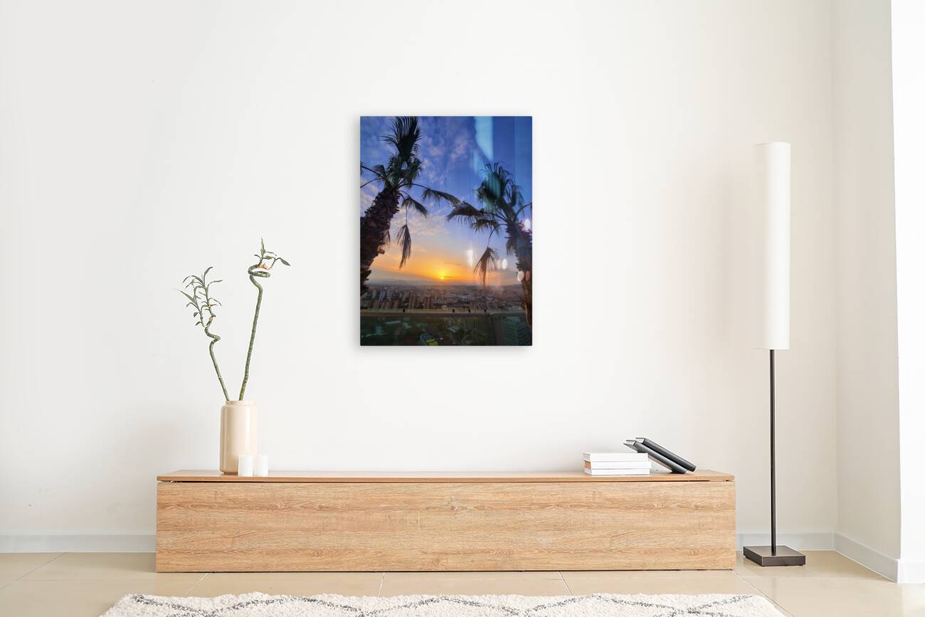 Golden Drift Between Palms Reproduction