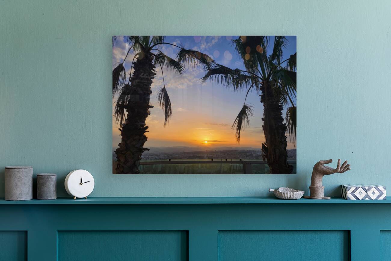 Between Palms and Possibility Reproduction