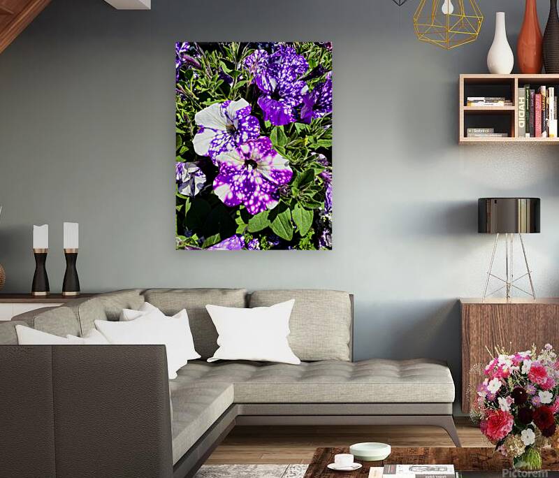 Starlight in Bloom Reproduction