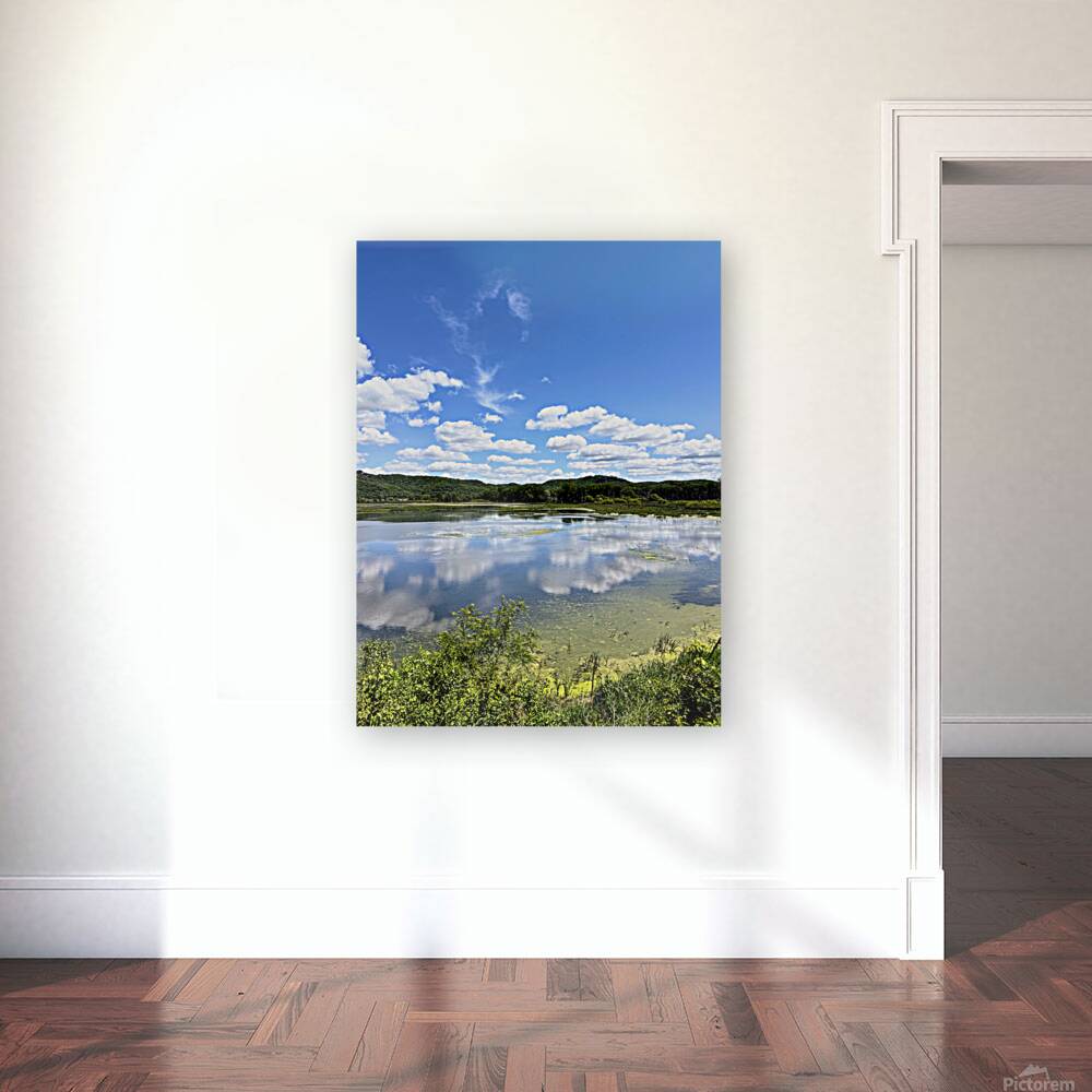 Whispers on the Water: A Mirror of the Skies Reproduction