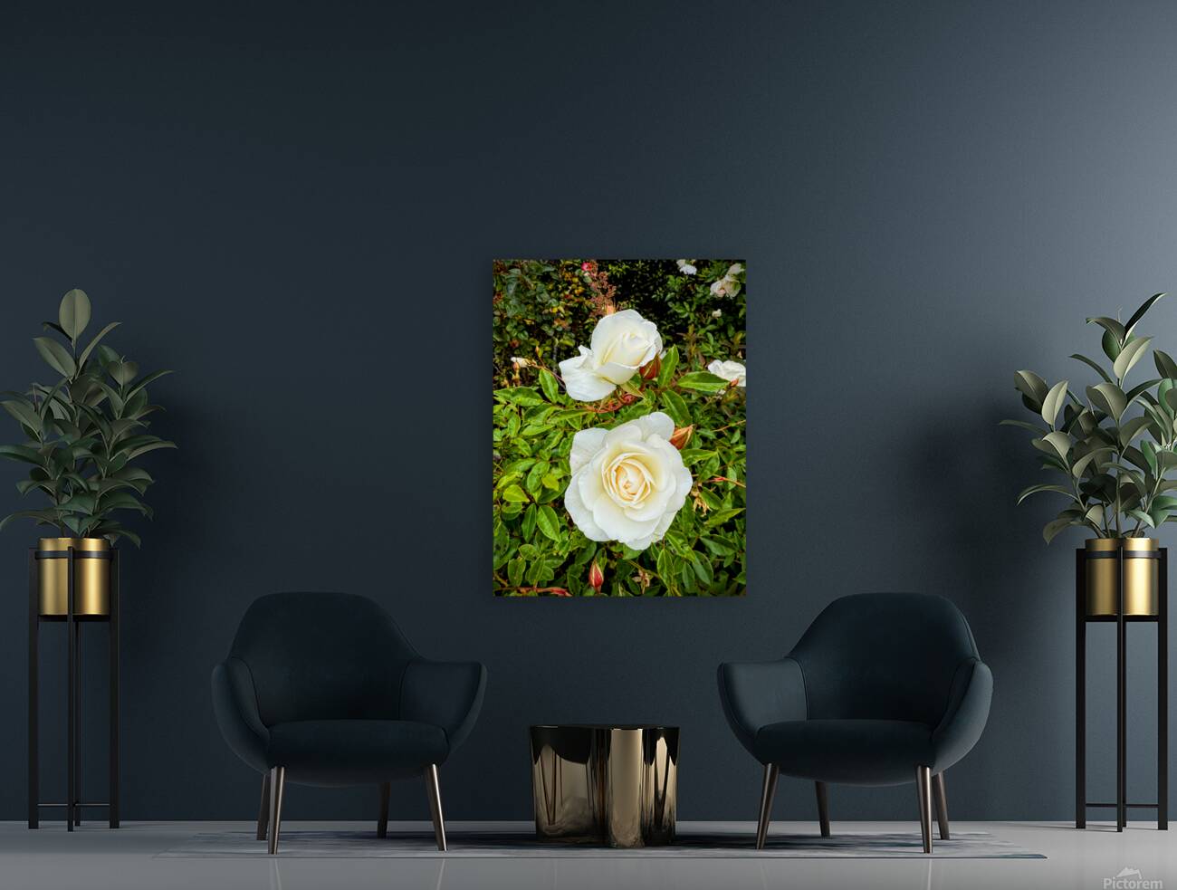 White Rose: Porcelain Breeze Reproduction