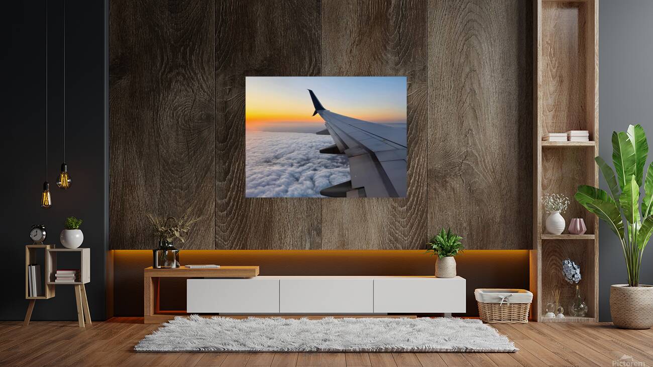 Pillowalk over San Francisco-Spring 2025 Reproduction