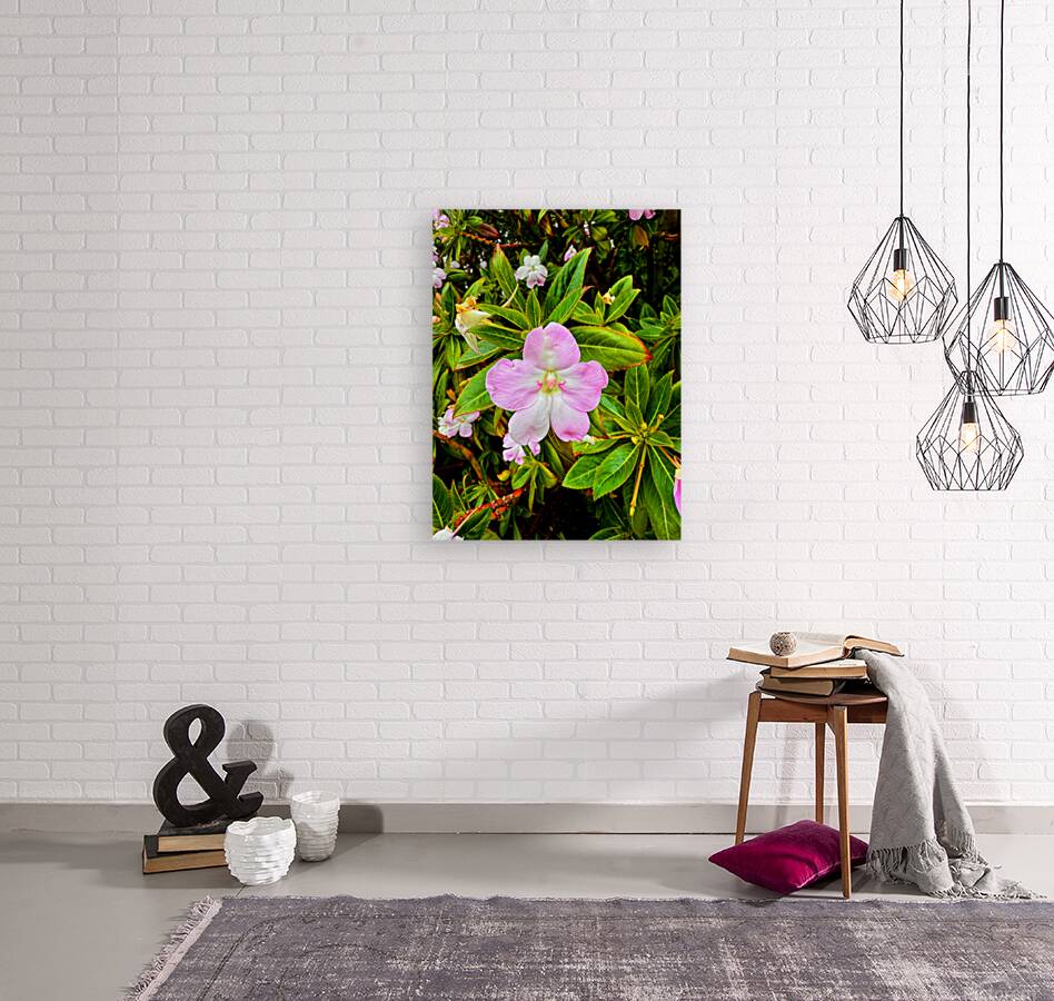 Impatiens: One Quiet Bloom Reproduction