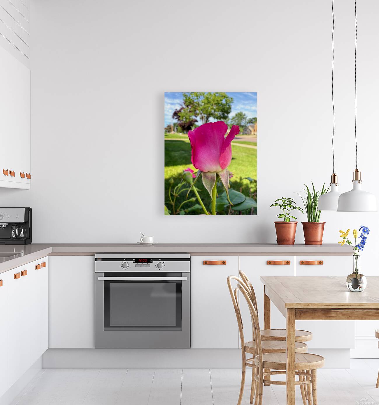 The Blush Before the Bloom Reproduction