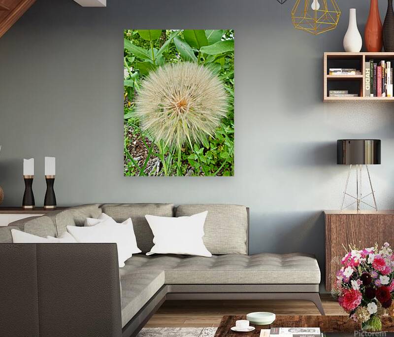 Prairie Starburst: A Prayer in Plant Form Reproduction