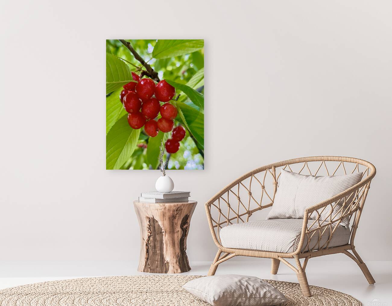 The Orchard’s Pulse: Where Color and Ripeness Conspire Reproduction