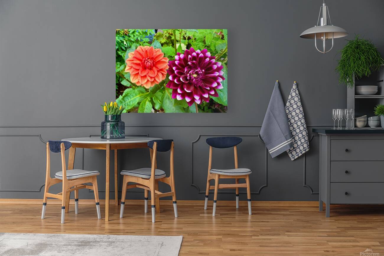 Harmony Blooms: When Opposites Flower Together Reproduction