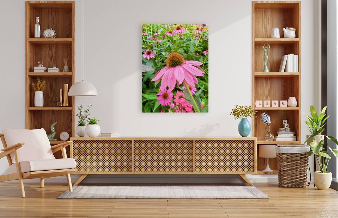 Echinacea Ensemble Reproduction