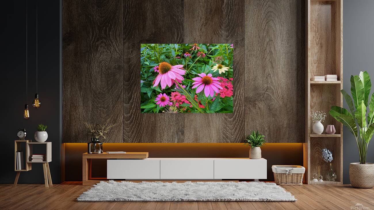 Coneflower Chorus Reproduction