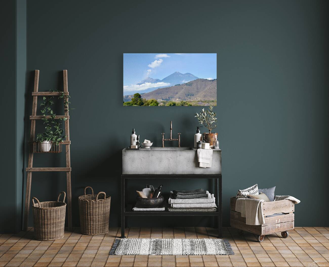 IMG 0088 Reproduction