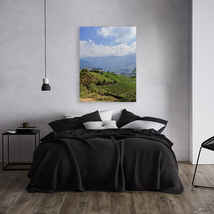 IMG 9267 Reproduction