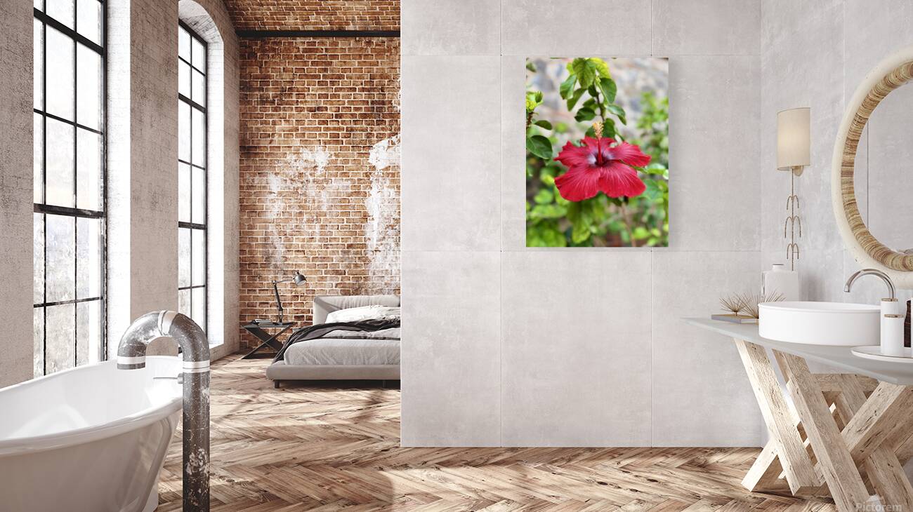 IMG 9953 Reproduction