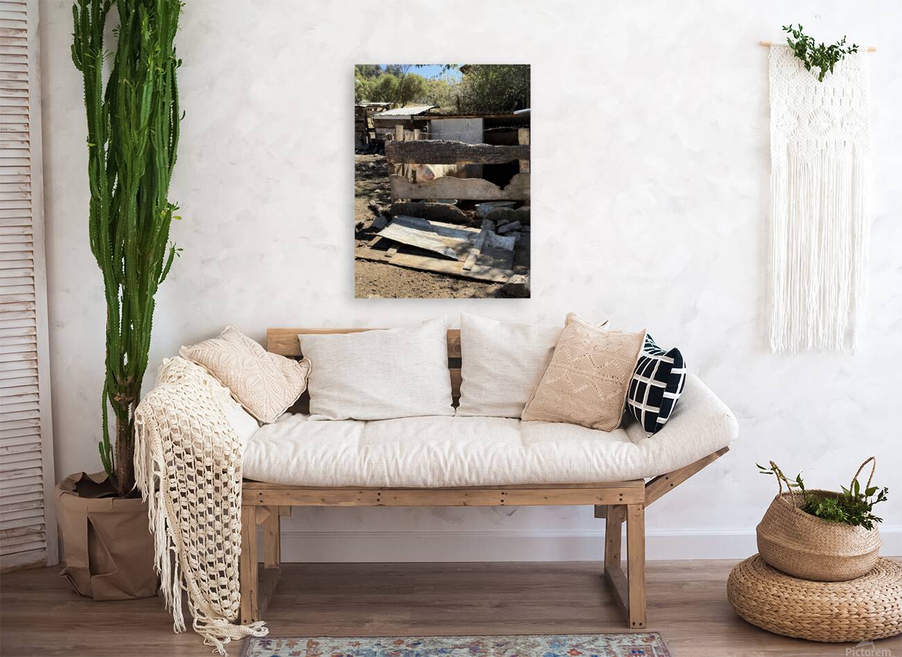 IMG 9517 Reproduction