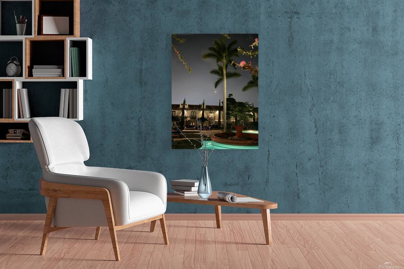 IMG 0437 Reproduction