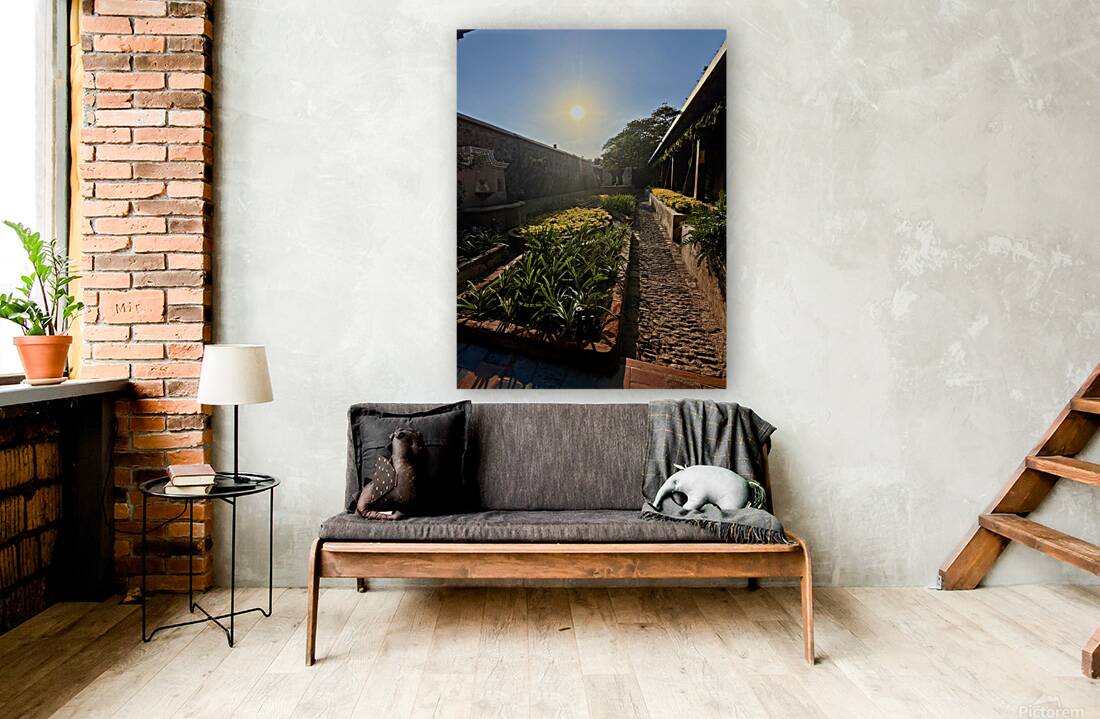 IMG 9939 Reproduction