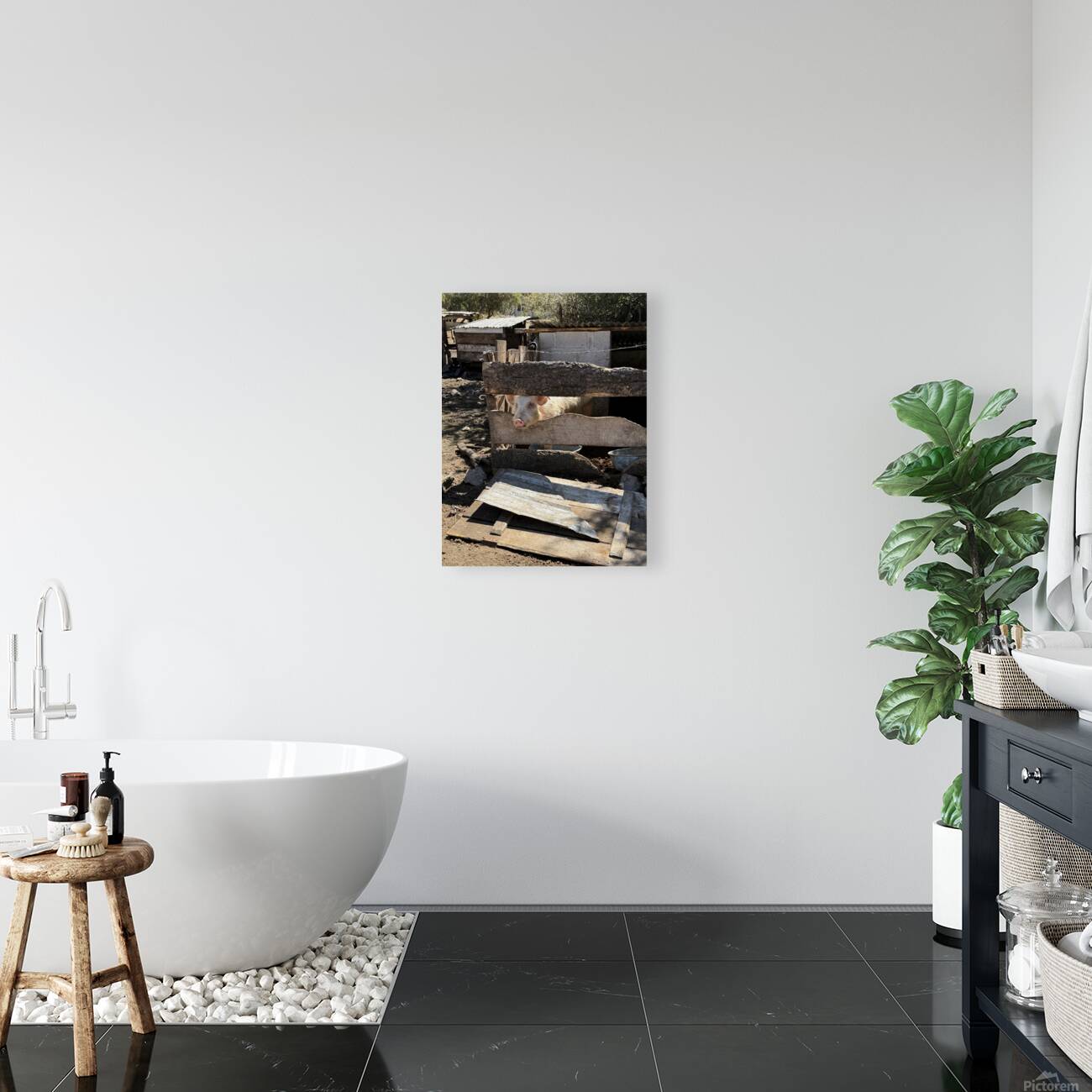 IMG 9518 Reproduction