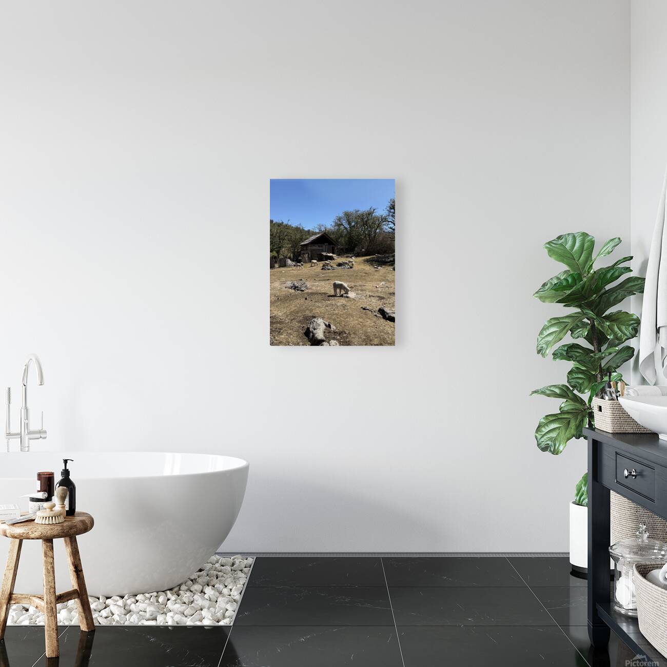 IMG 9504 Reproduction