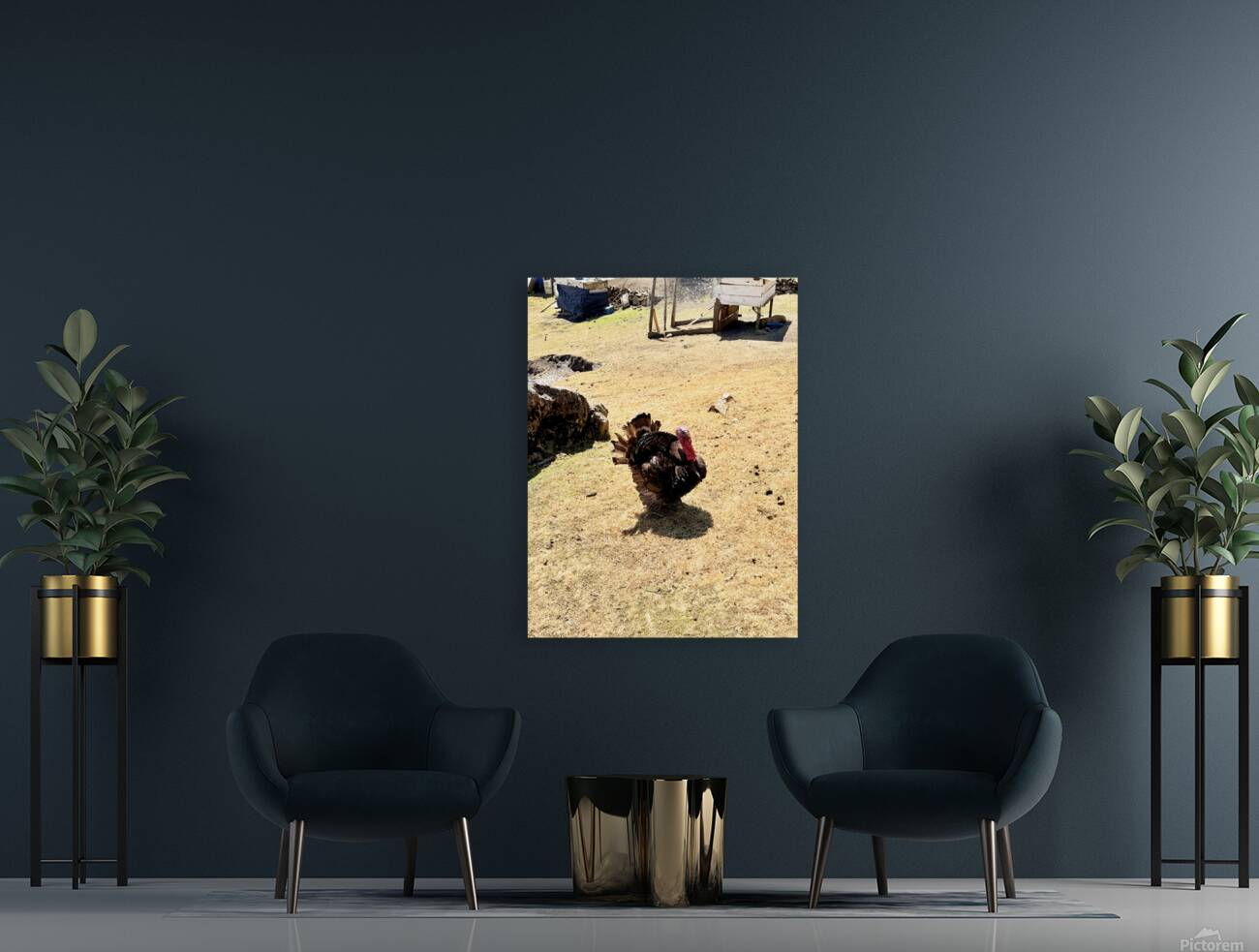 IMG 9621 Reproduction