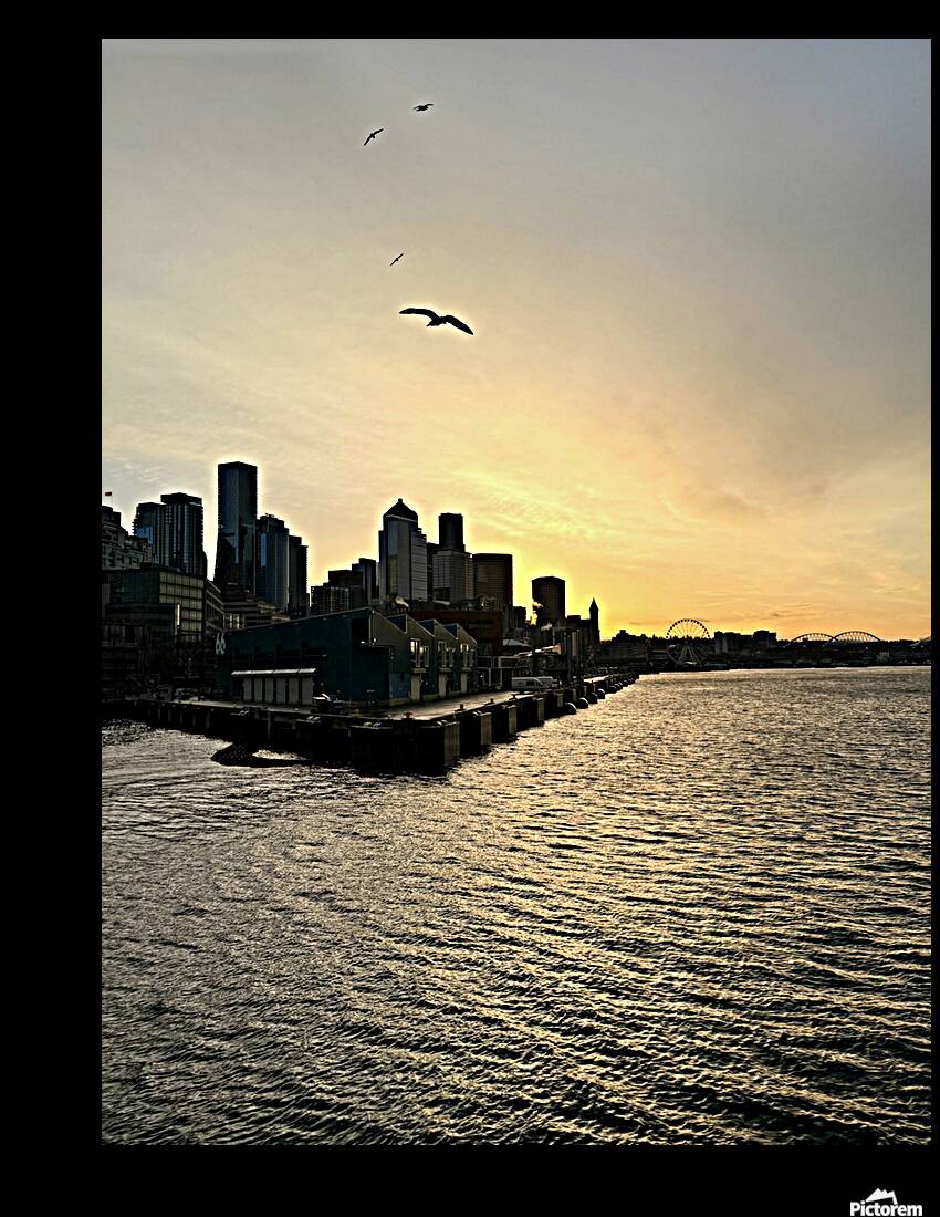 IMG 7995 Reproduction