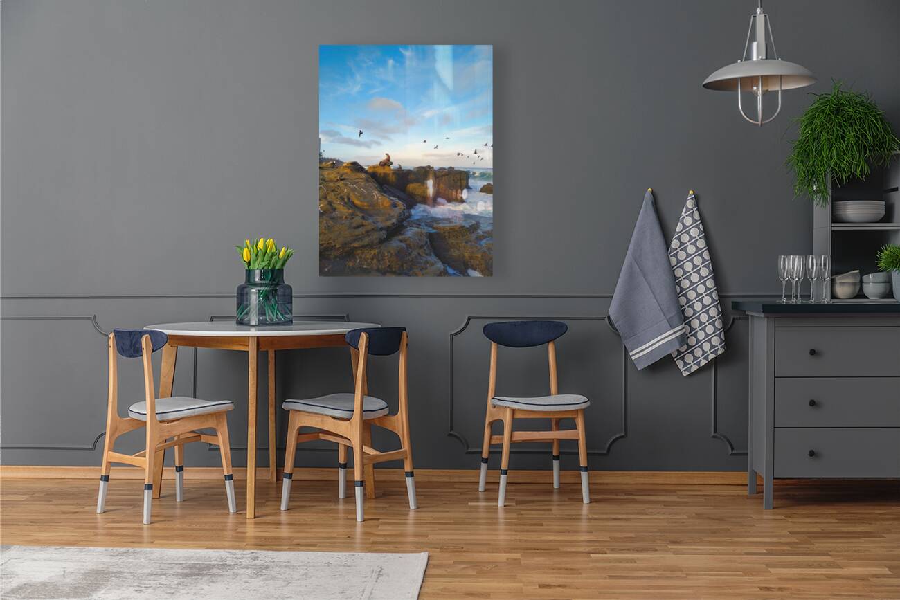 Seal Bird Watching Reproduction