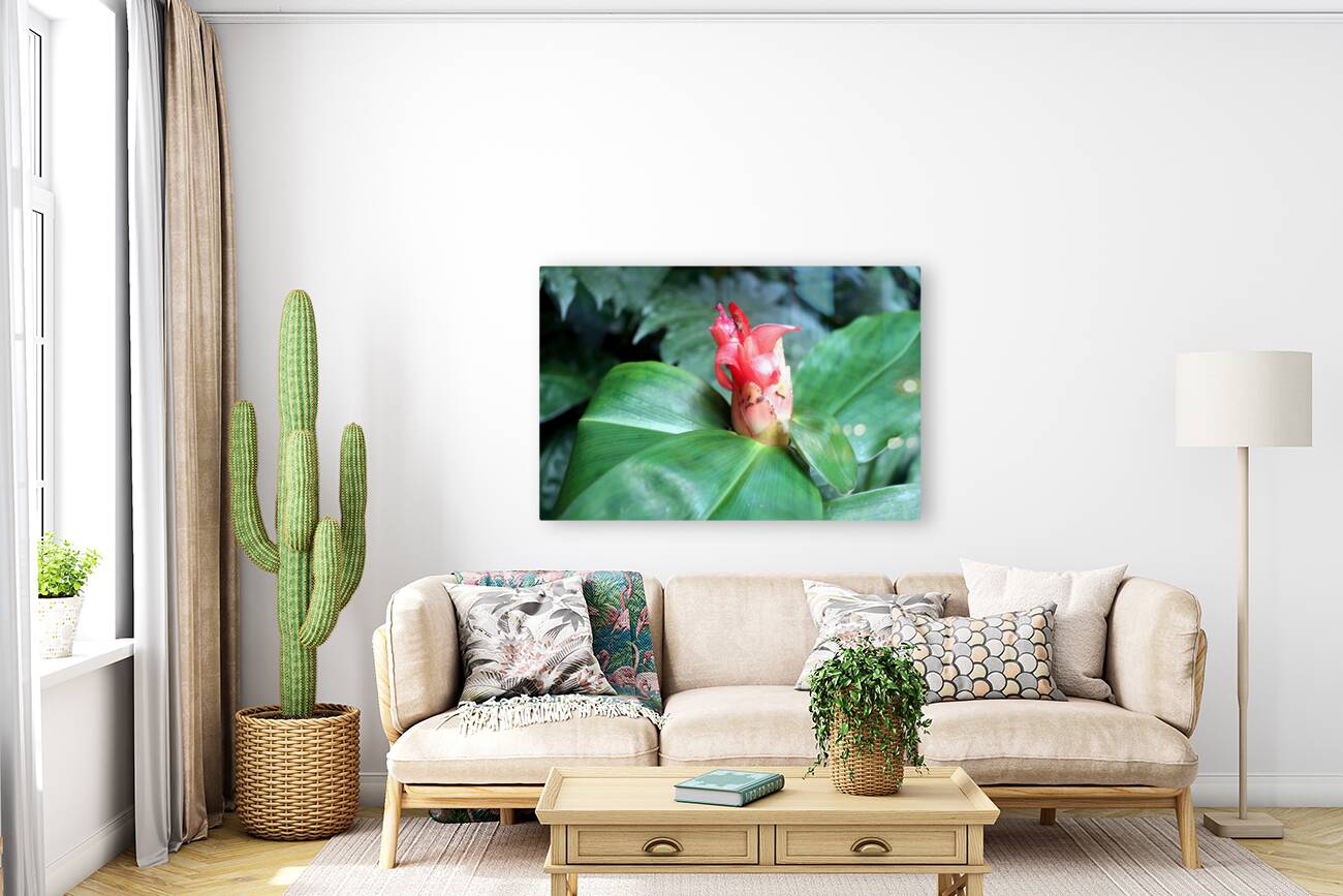 Flower Bud Reproduction