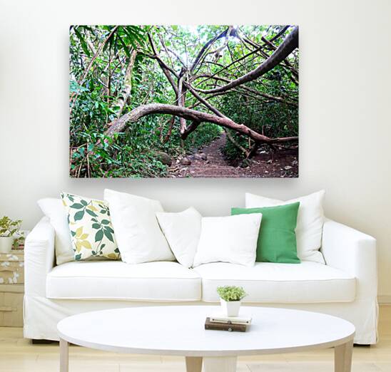 Branches of Life Reproduction