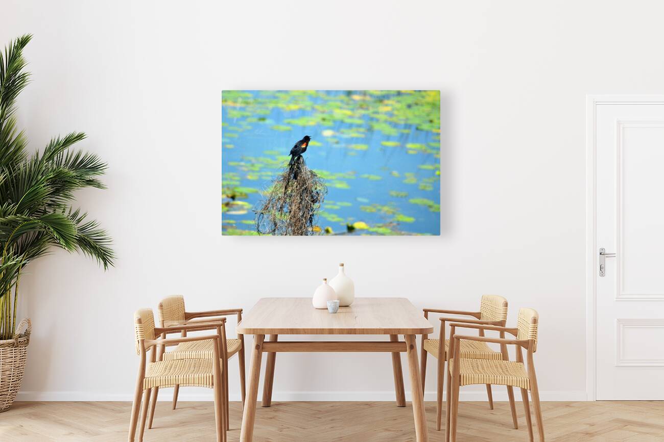 Calling for a Mate Reproduction