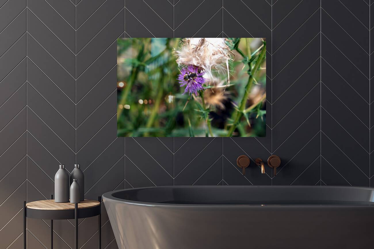 To Bee or Not to Bee  2 Reproduction