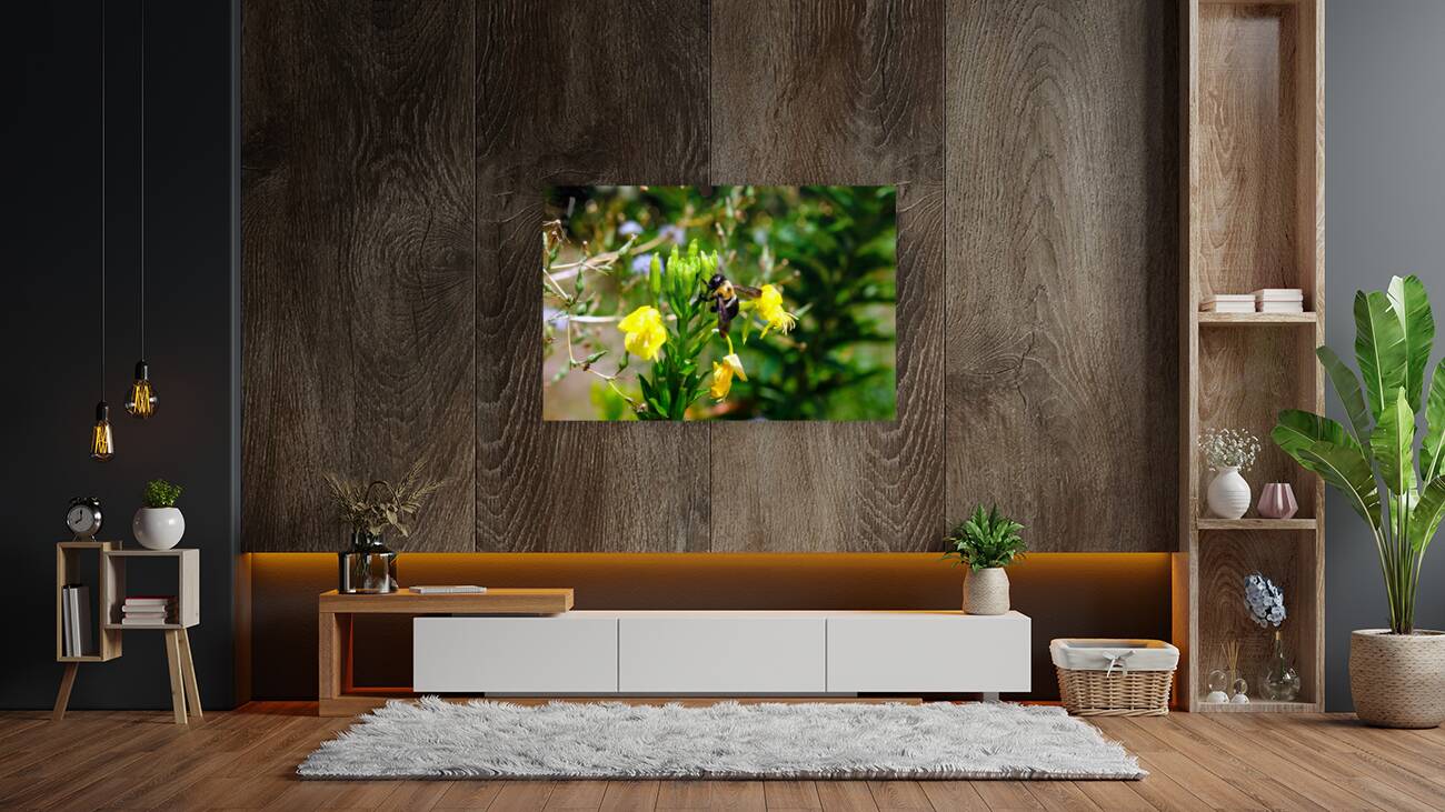 To Bee or Not to Bee  4 Reproduction