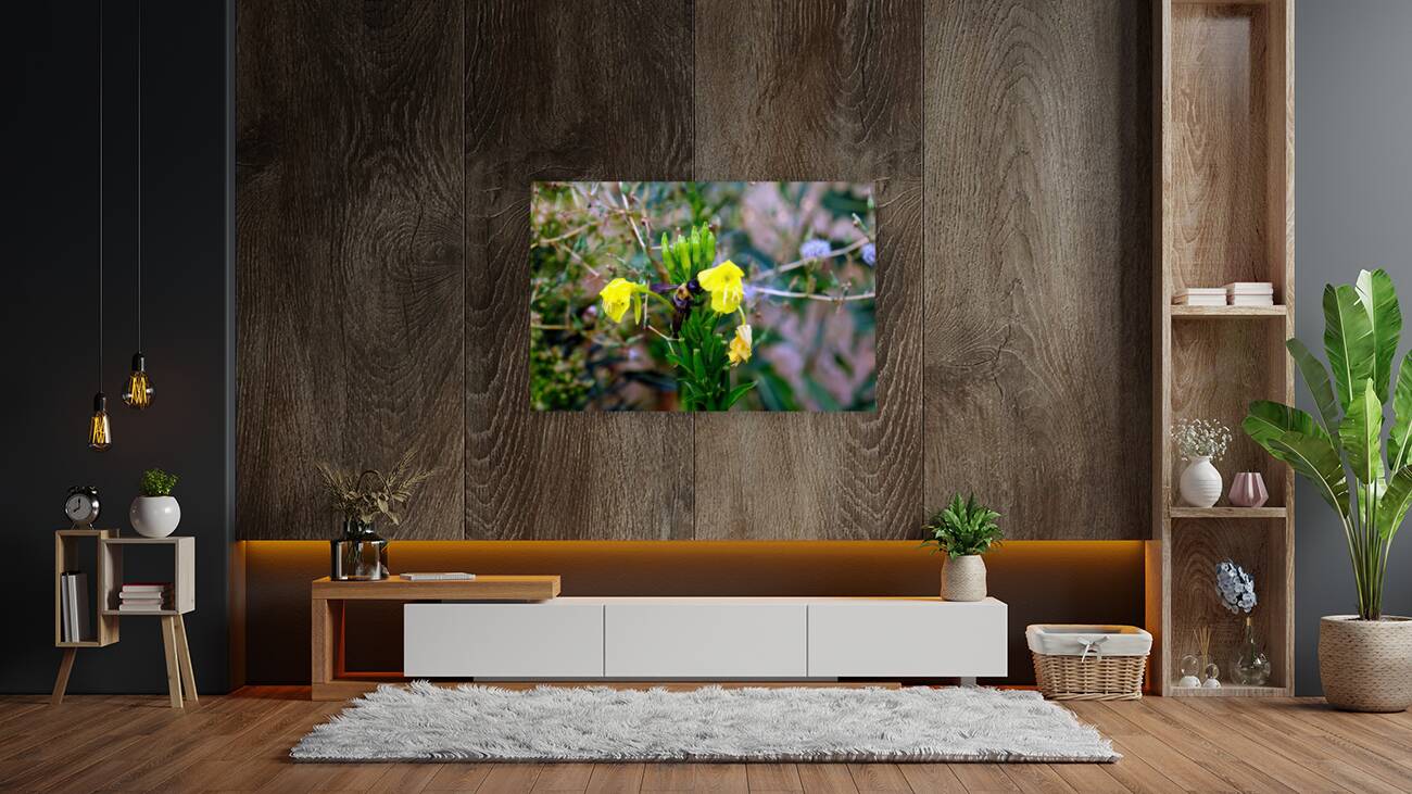 To Bee or Not to Bee  -- Checking Under The Hood Reproduction