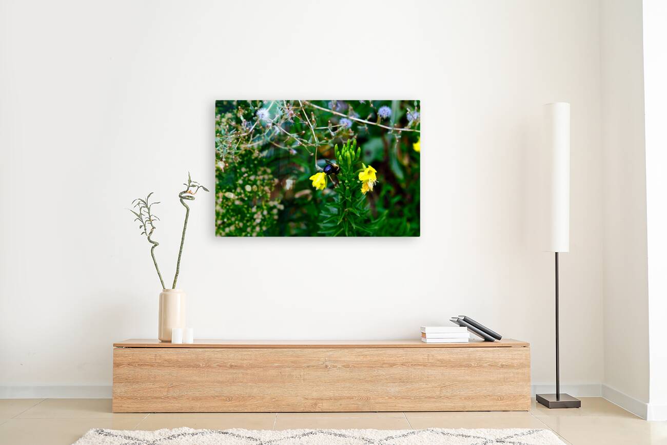 To Bee or Not to Bee  -- Kiss My Shiny Bumble Butt Reproduction