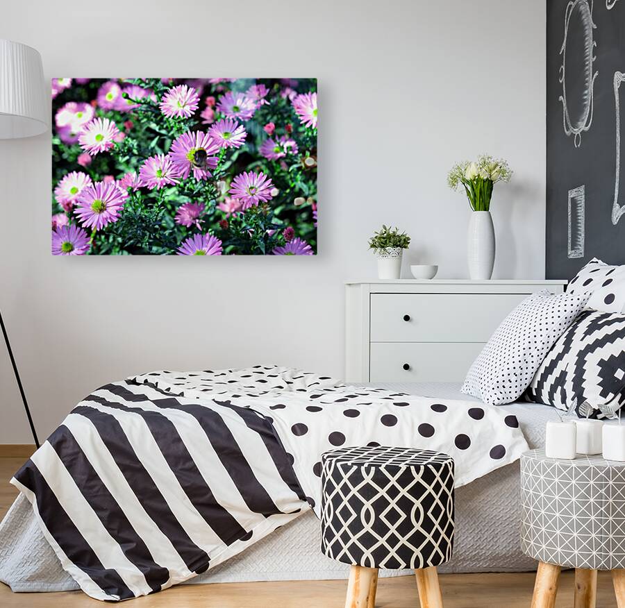 Pink Daisies 2C Reproduction