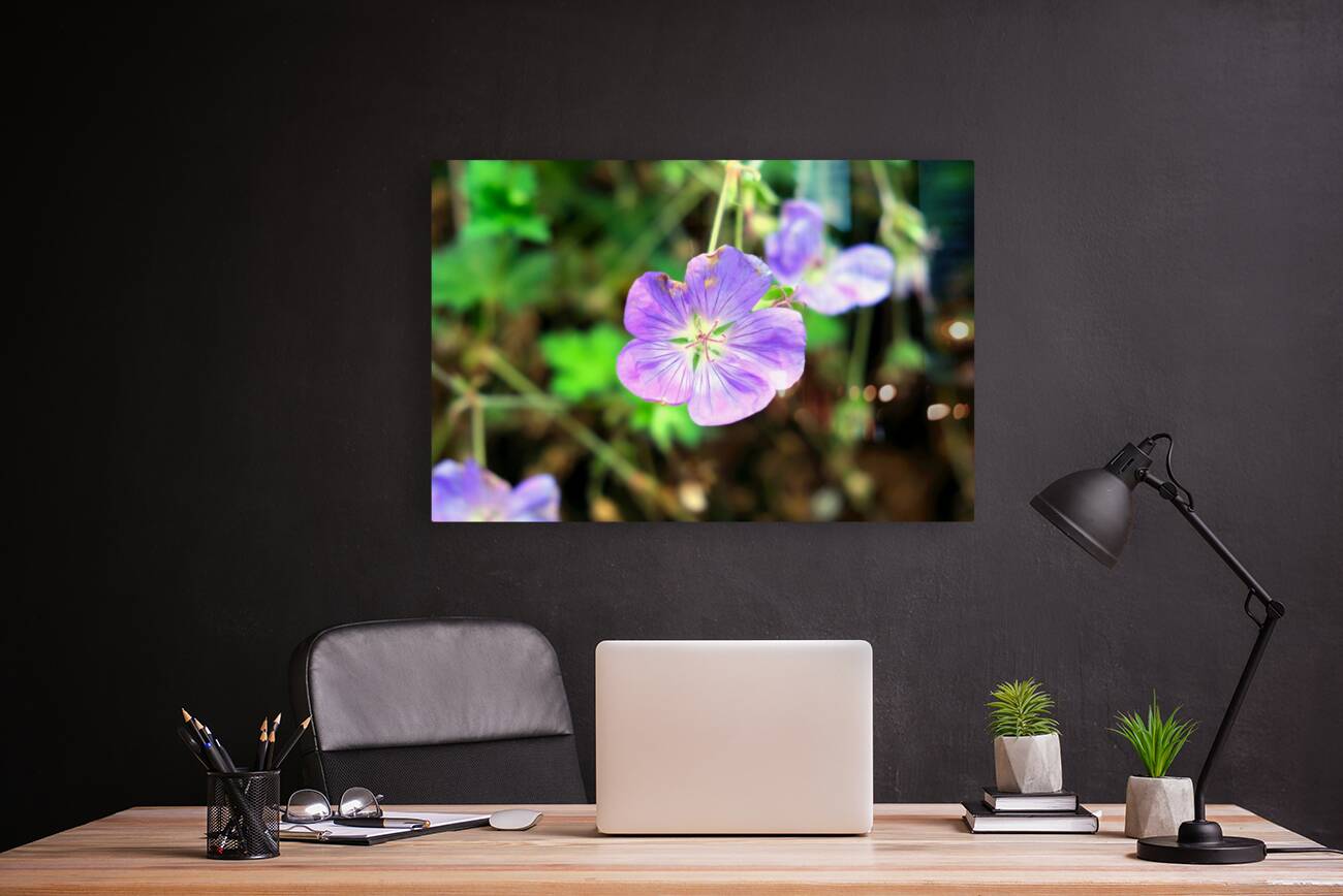 Flower Bloom 8 Reproduction