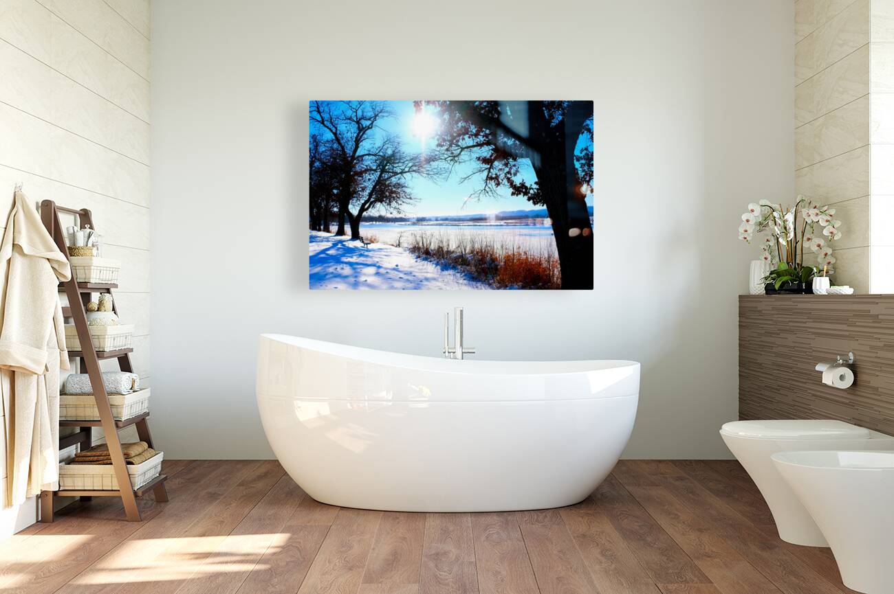 Winterscape 2 Reproduction