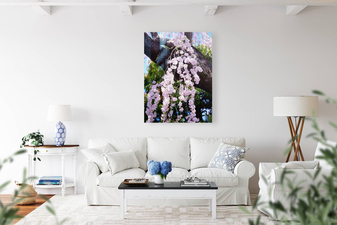 Cherry Blossom 3B Reproduction