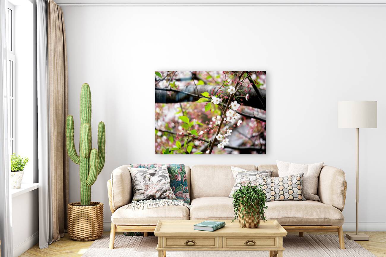 Cherry Blossom 2 Reproduction