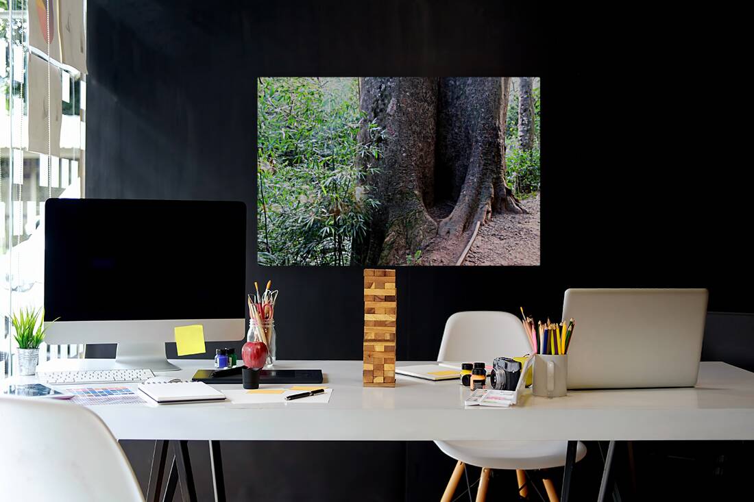 Got Stumped  Reproduction