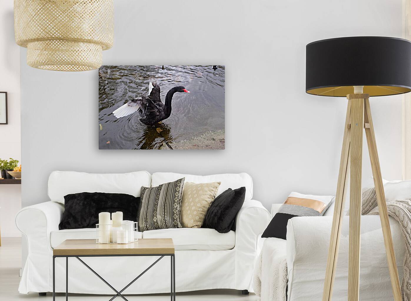 A Black Swan Moment Reproduction