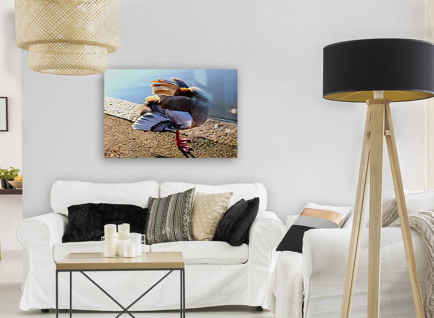 No Selfies Please  Reproduction