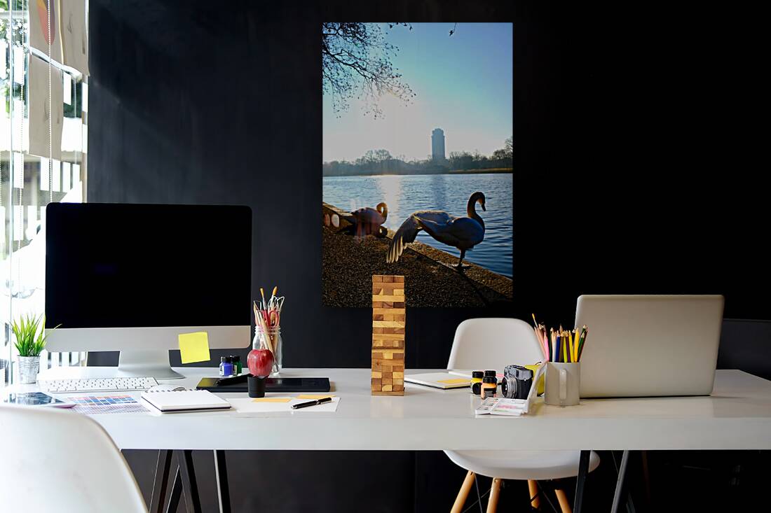 Swan Yoga Morning Stretch 2 Reproduction