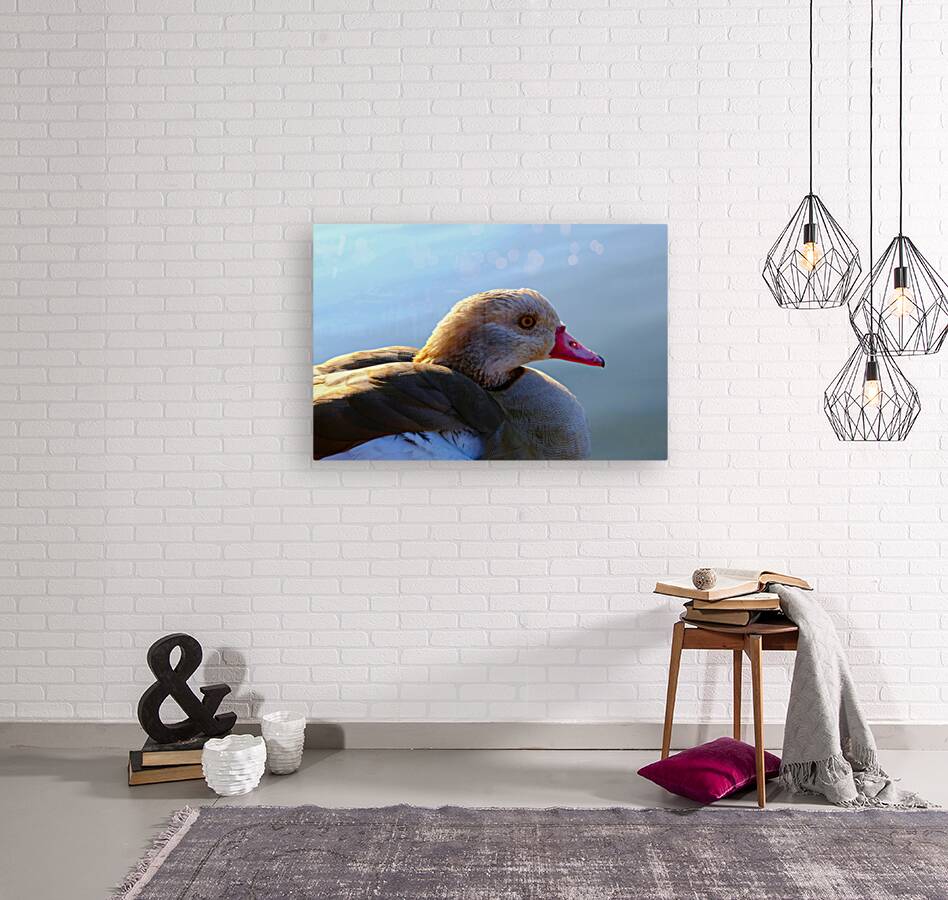 Duck Face Reproduction