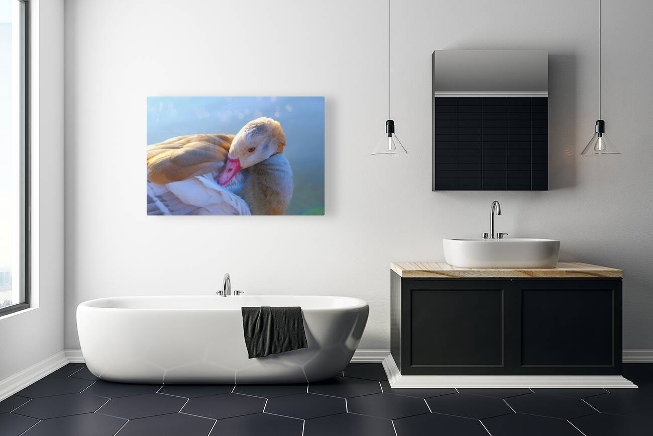 Got My Eye On You Duck Reproduction