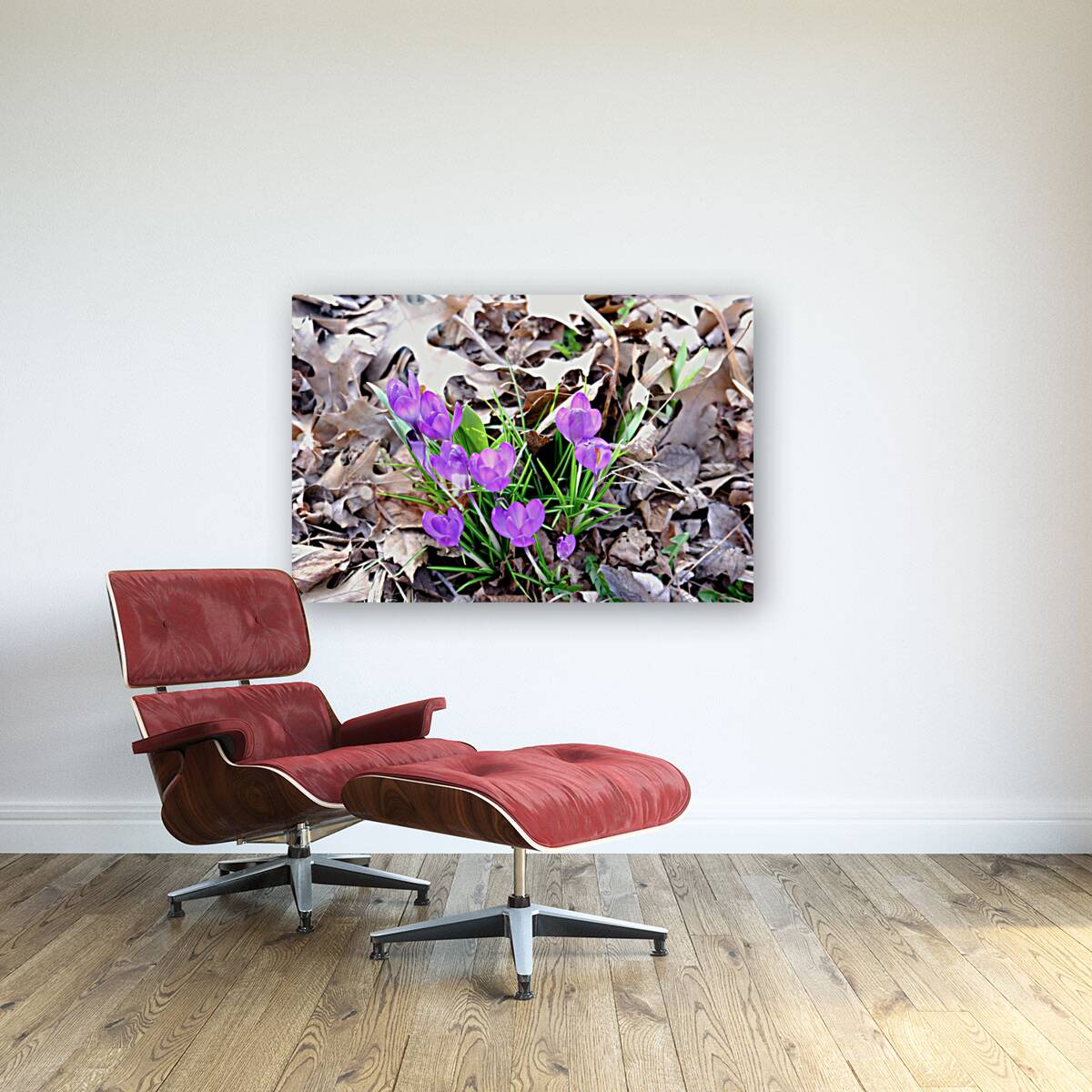 Spring Awakening Reproduction