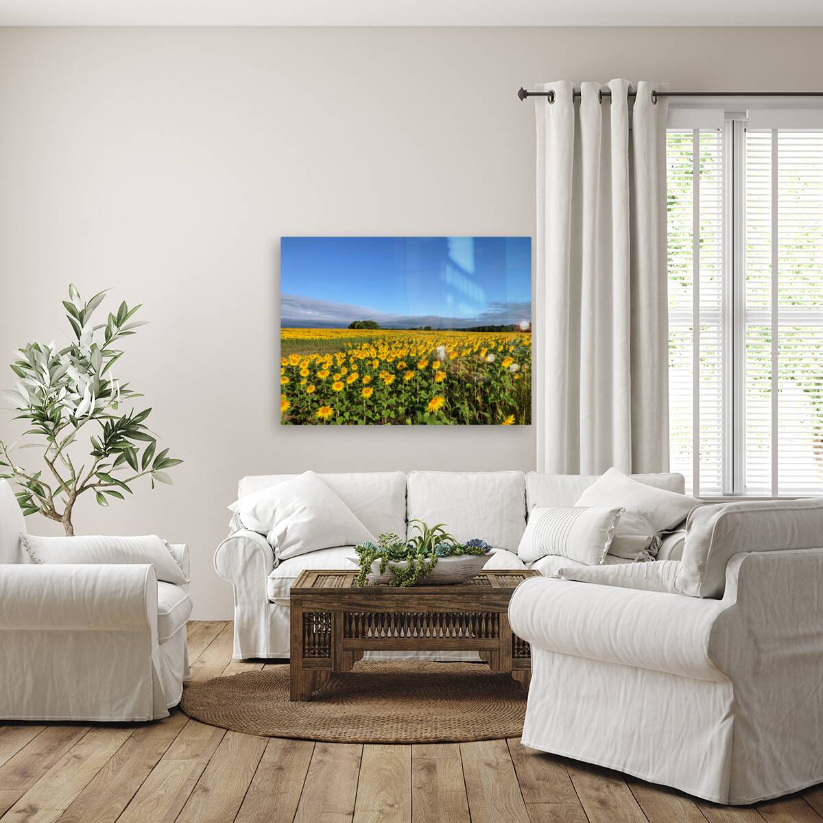 A Sea of Golden Dreams Reproduction