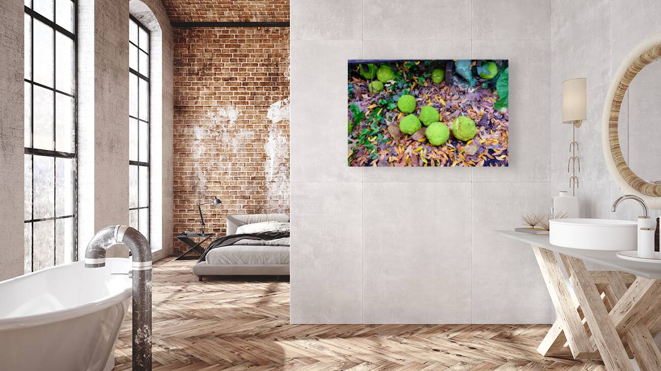 Osage in Autumn Reproduction