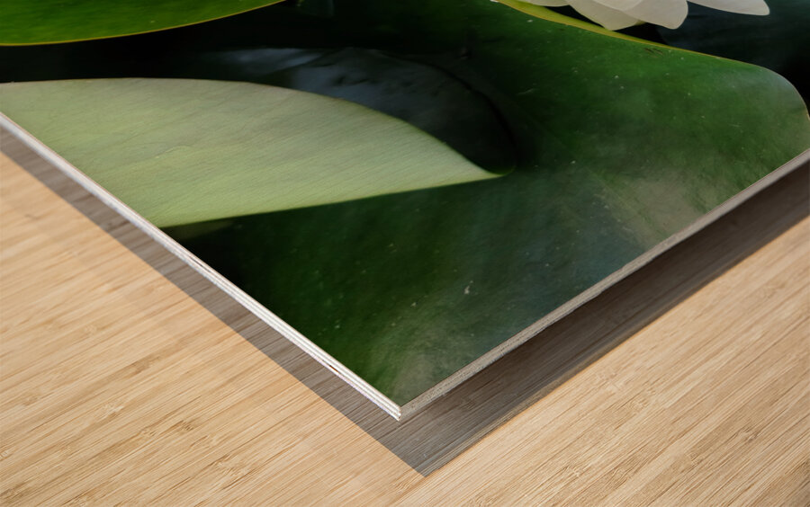 The Heart Within: Petals of Peace Wood print