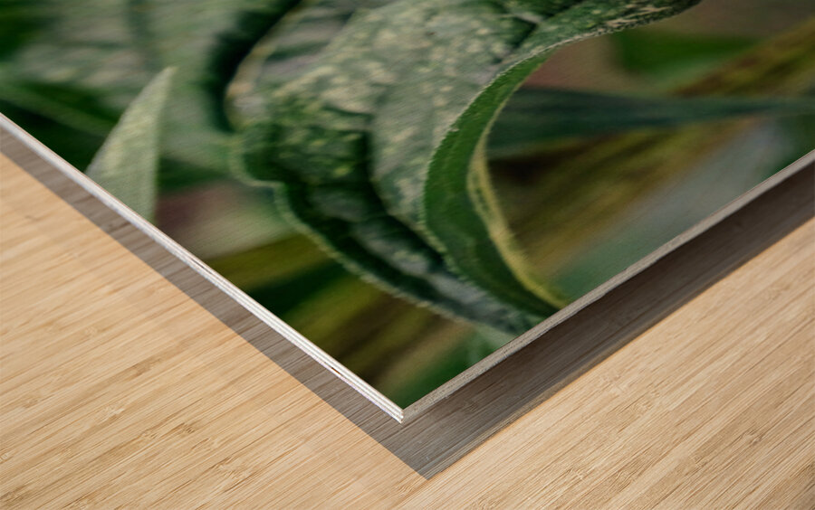 Dual Architects of Life on a Coneflower Stage Wood print