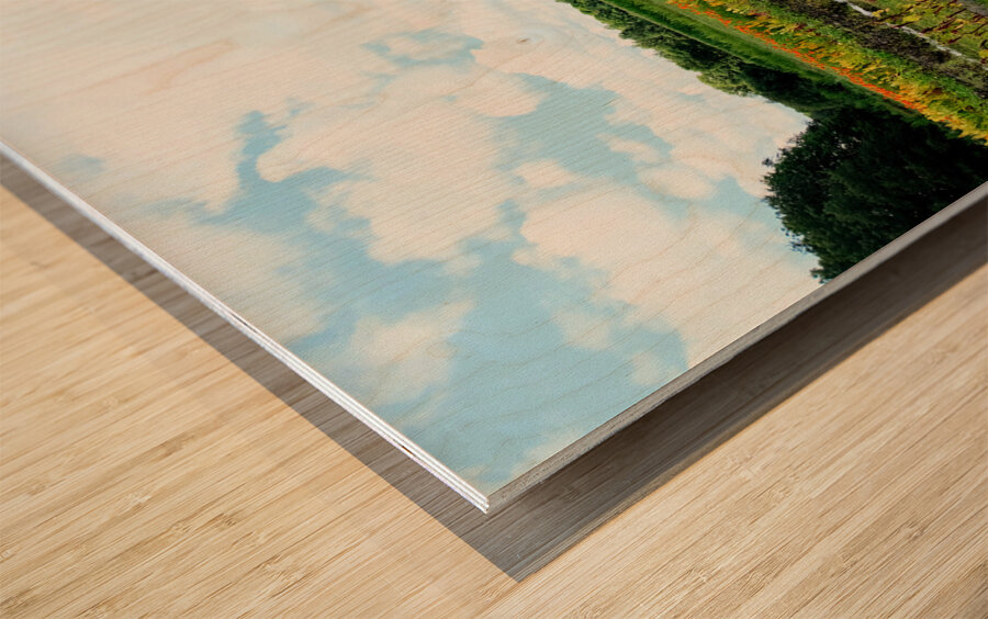 The Silent Pulse of Cultivation Wood print