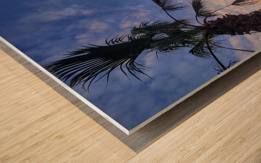 Golden Drift Between Palms Wood print