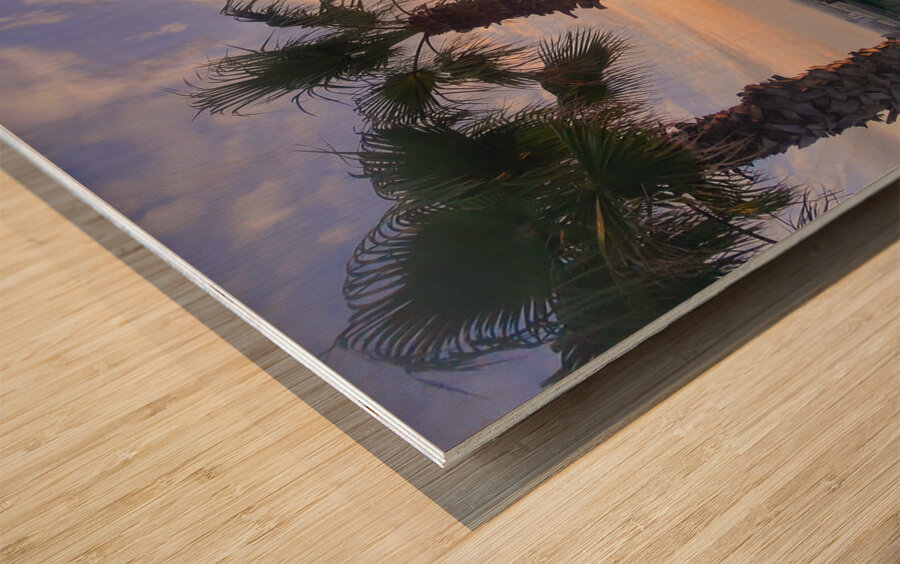 Palm Witnesses of the Falling Sun Wood print